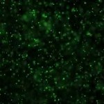 4k fantastic video animation Moving green particles background